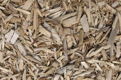biomass boilers Knott Oak